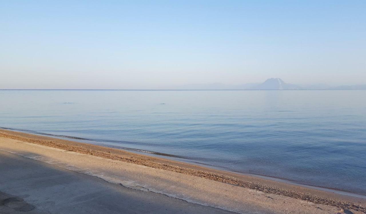 Patras Luxury Seaside House Villa Eksteriør billede